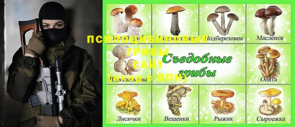 a pvp Алзамай