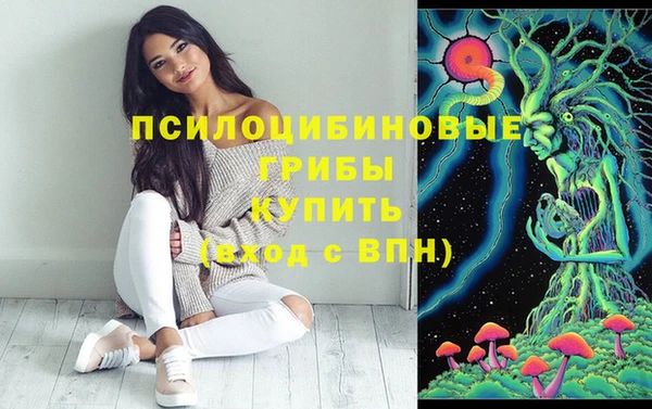 mdpv Алексин