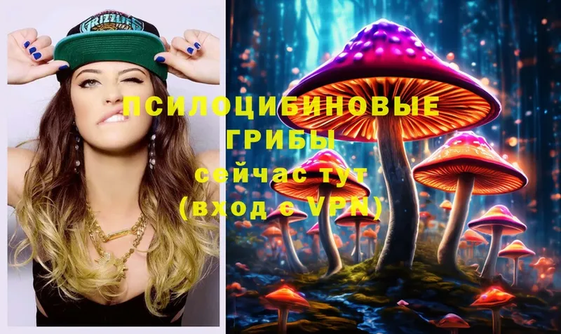 Галлюциногенные грибы MAGIC MUSHROOMS  как найти   Грязовец 